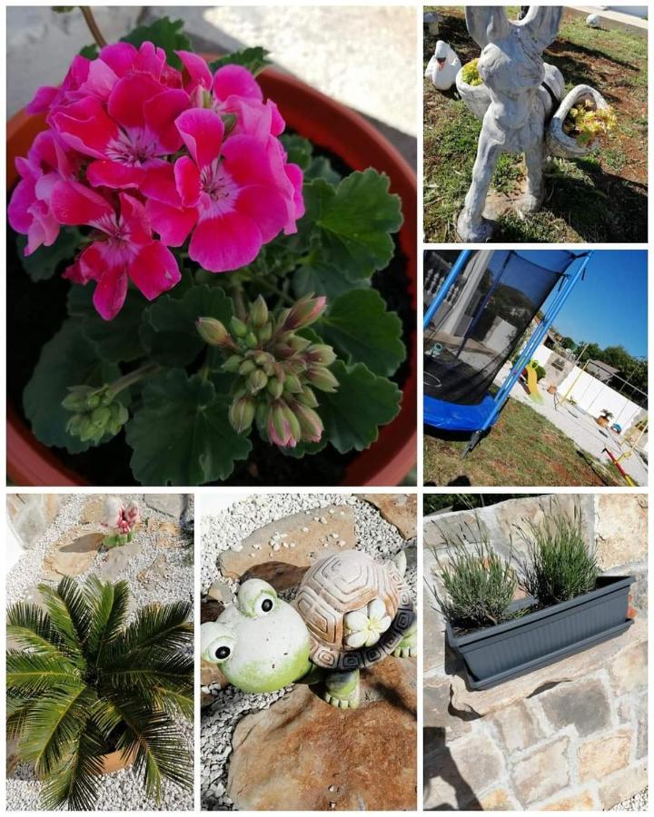 Villa Roza 2 Marina Dış mekan fotoğraf